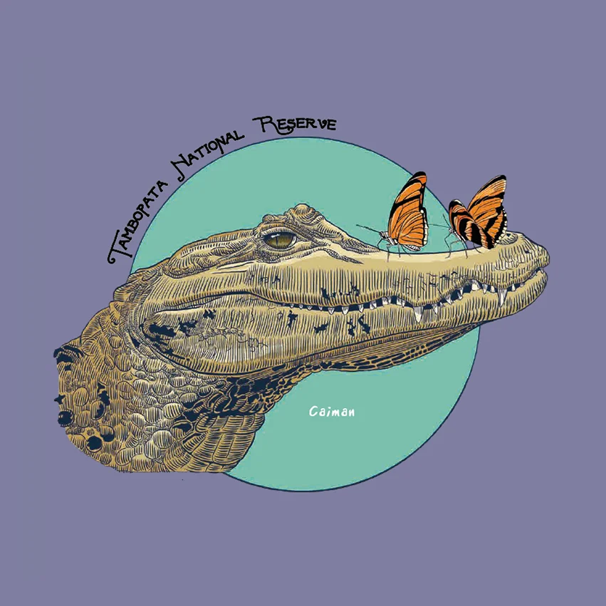 Ilustración y diseño de animales de la selva peruana
