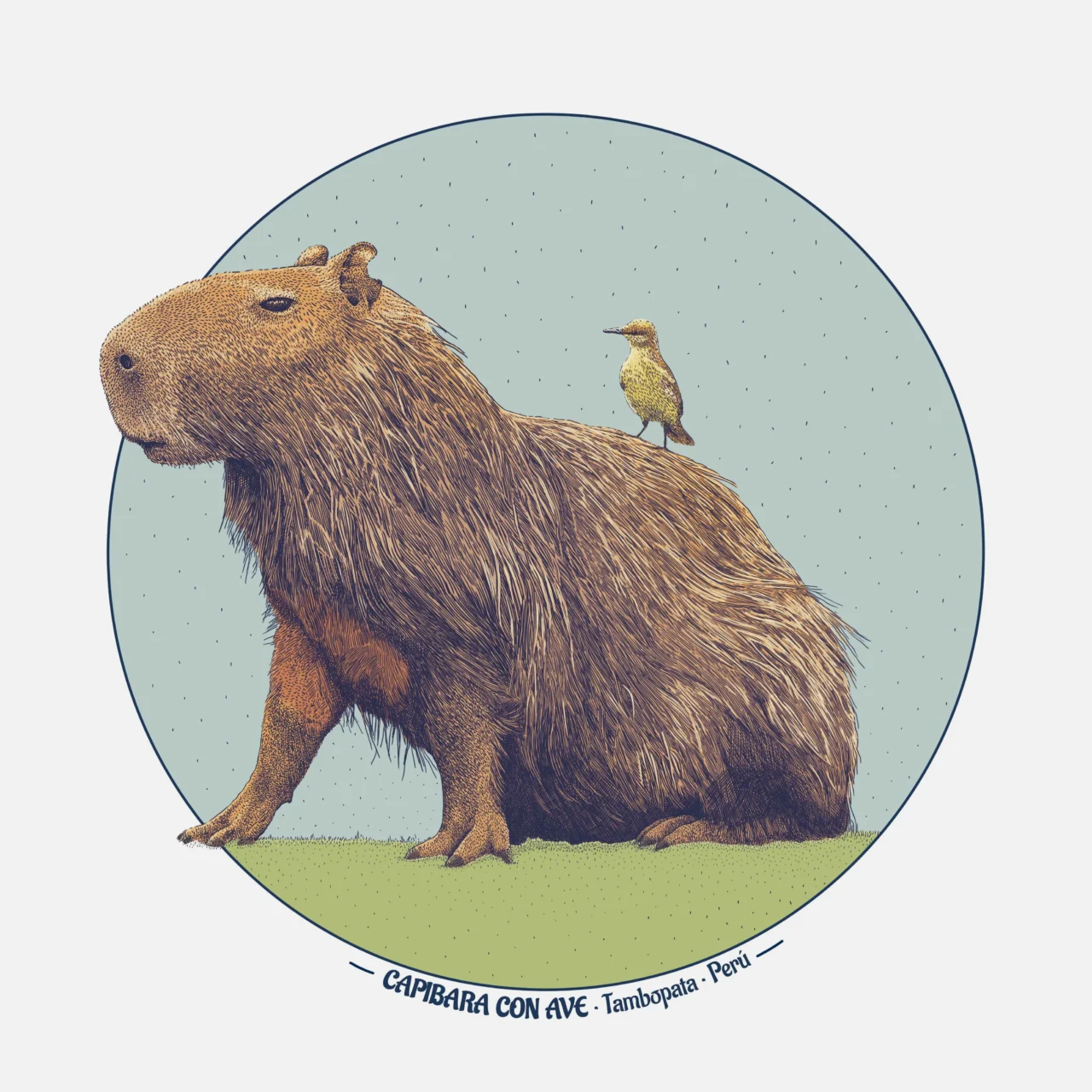 Ilustración y diseño de animales de la selva, capibara
