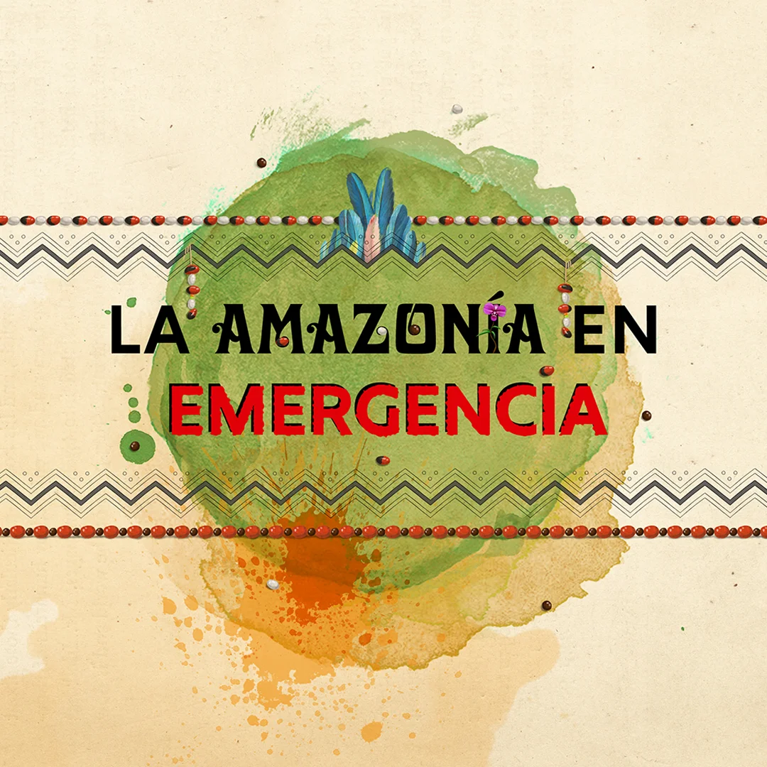 Diseño e ilustración editorial en la Amazonía en emergencia