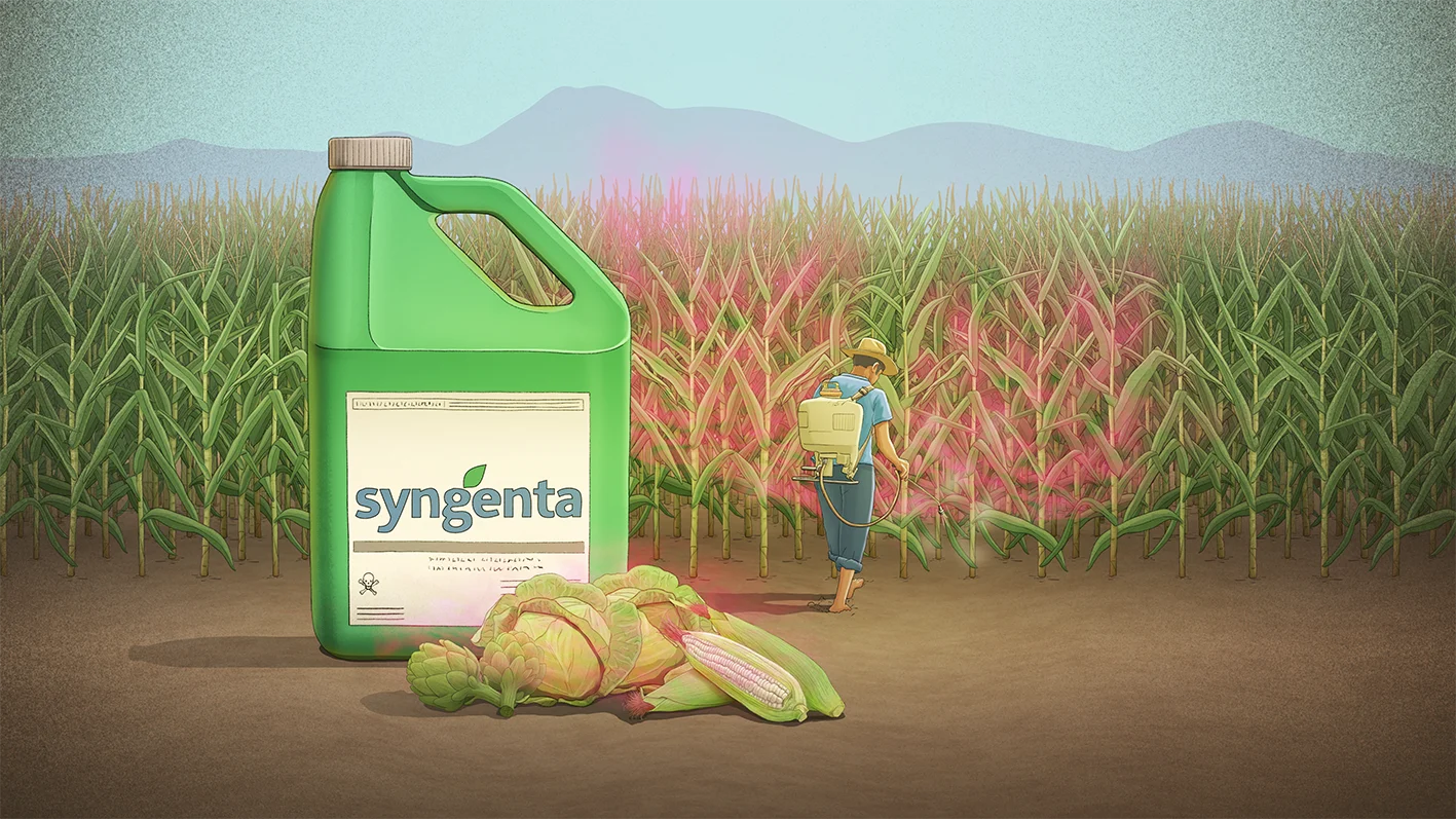 Ilustración editorial sobre pesticidas Syngenta